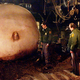 Image for article titled Todd Masters, MastersFX